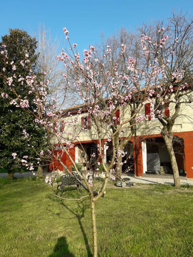 San Donà di Piave Tenuta Crescentini-Vallemura ,Appartamenti Con Entrata Indipendente מראה חיצוני תמונה