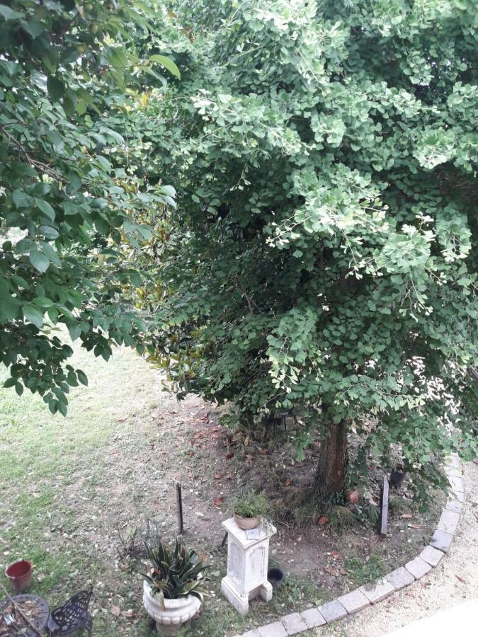San Donà di Piave Tenuta Crescentini-Vallemura ,Appartamenti Con Entrata Indipendente מראה חיצוני תמונה