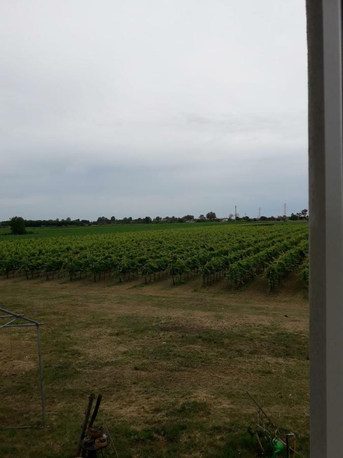 San Donà di Piave Tenuta Crescentini-Vallemura ,Appartamenti Con Entrata Indipendente מראה חיצוני תמונה