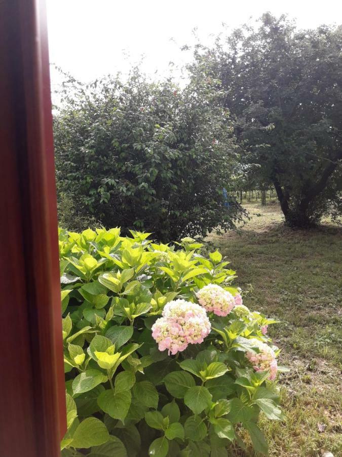 San Donà di Piave Tenuta Crescentini-Vallemura ,Appartamenti Con Entrata Indipendente מראה חיצוני תמונה