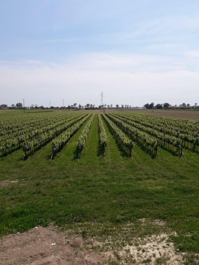 San Donà di Piave Tenuta Crescentini-Vallemura ,Appartamenti Con Entrata Indipendente מראה חיצוני תמונה