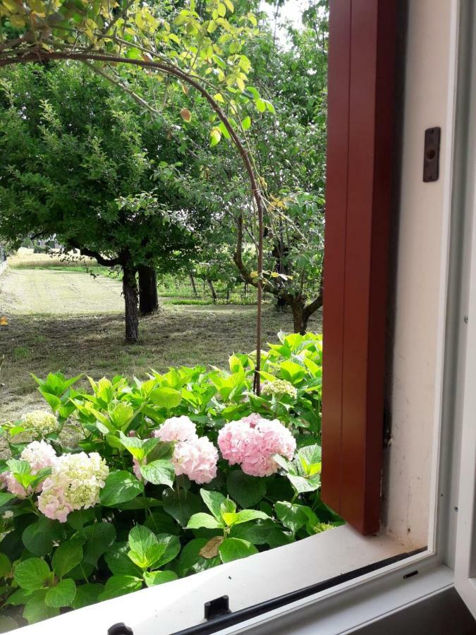 San Donà di Piave Tenuta Crescentini-Vallemura ,Appartamenti Con Entrata Indipendente מראה חיצוני תמונה
