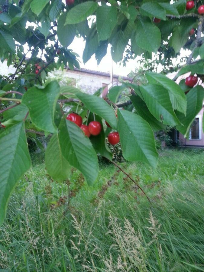 San Donà di Piave Tenuta Crescentini-Vallemura ,Appartamenti Con Entrata Indipendente מראה חיצוני תמונה